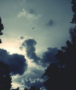 Low angle view of silhouette trees against sky