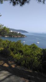 Scenic view of beach against clear sky