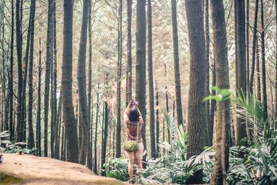 Rear view of woman photographing against trees at forest