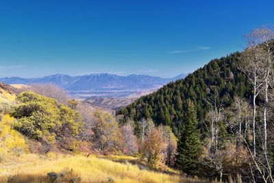 Panoramic view of trees and mountains against blue sky