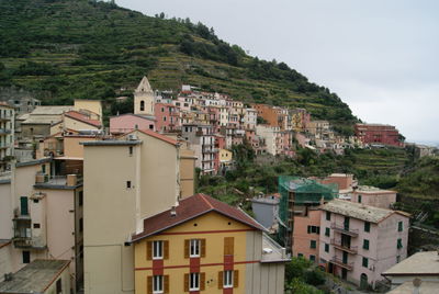 Buildings in town