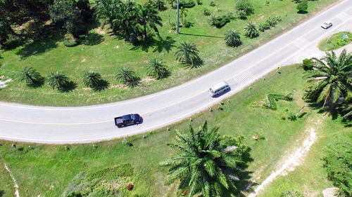 High angle view of street amidst trees