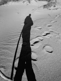 Shadow of person on sand at beach
