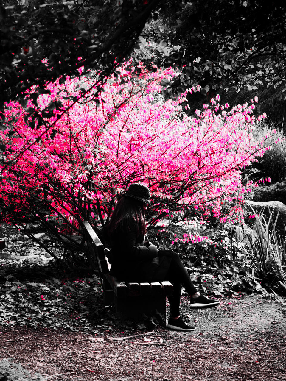 WOMAN SITTING ON BENCH BY FLOWERING TREE