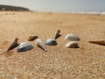 sand