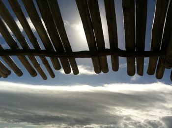 Low angle view of trees against sky