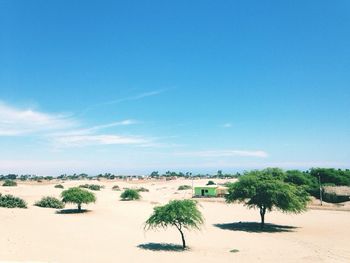 Scenic view of beach against blue sky