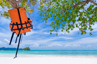 Life jacket on tree at beach