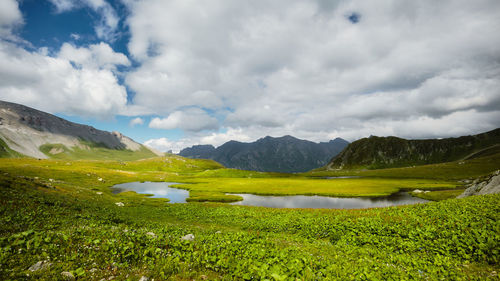 Mountain lake in summer with a flower meadow and mountains in the background. 