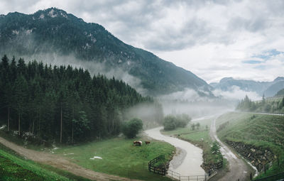 Scenic view of landscape against sky