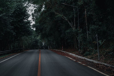 Road amidst trees in forest