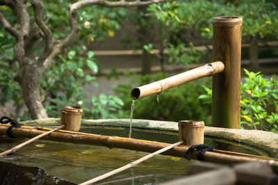 Close-up of water fountain