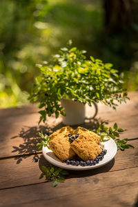 Close-up of food on table