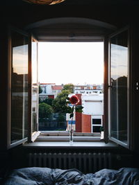 Flower in vase on window sill at home