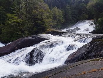 Scenic view of waterfall in forest