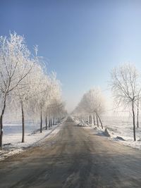 Empty road amidst bare trees against clear blue sky during winter on sunny day