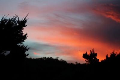 Silhouette trees against dramatic sky during sunset