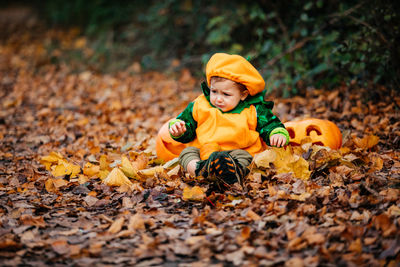 High angle view of man and pumpkins during autumn