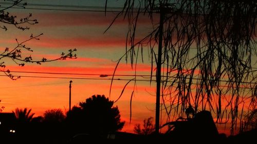 Low angle view of silhouette trees against sky at sunset