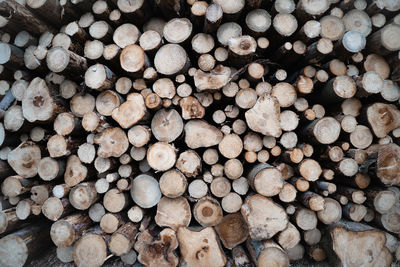 Full frame shot of logs