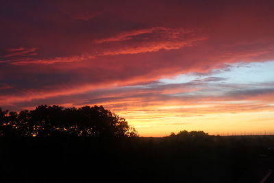 Silhouette trees against dramatic sky during sunset