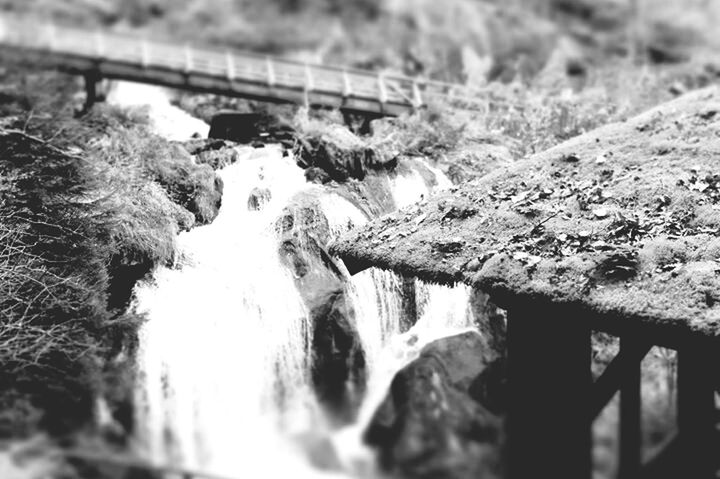 selective focus, water, rock - object, nature, day, outdoors, high angle view, focus on foreground, no people, wood - material, close-up, river, grass, sunlight, railing, plant, field, animal themes, focus on background, mammal