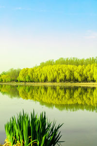 Scenic view of lake against sky during sunset