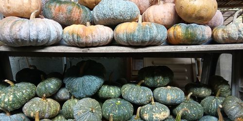 Full frame shot of pumpkins for sale at market stall