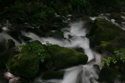 Scenic view of waterfall