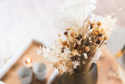 Close-up of white flowering plant on table