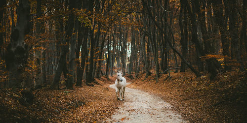 Woman in forest at night