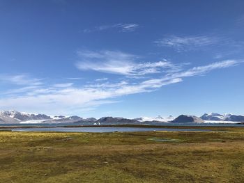 Scenic view of field against blue sky