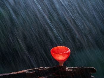 Close-up of wet red glass