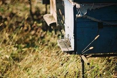 Close-up of beehive on field