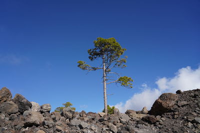 Low angle view of rocks against blue sky