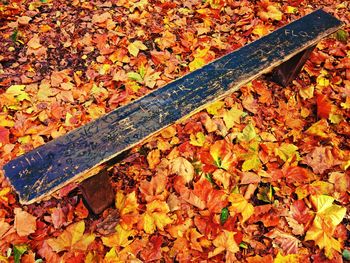 High angle view of wooden seat amidst fallen autumn leaves