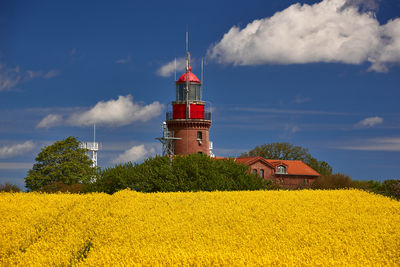 Scenic view of oilseed rape field against sky