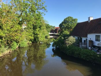 Trees and houses by lake against sky