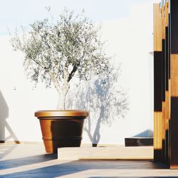 Flower vase on table against clear sky