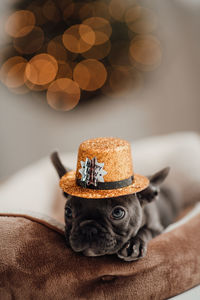 Close-up of hat