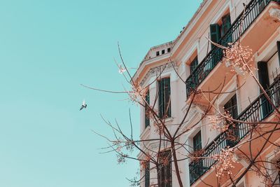 Low angle view of birds flying against sky