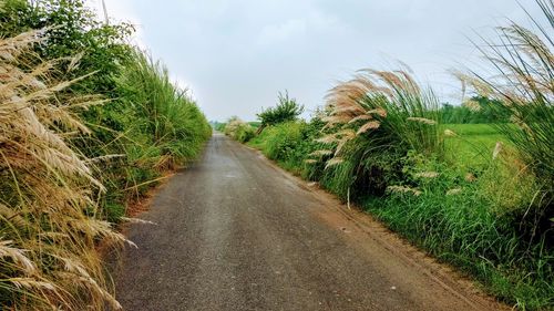 Road amidst field against sky