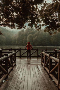 Rear view of man standing on pier by lake