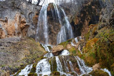 Scenic view of waterfall in forest