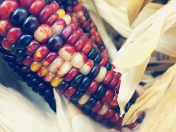 Close-up of corn