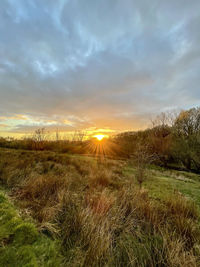 Scenic view of field against sky during sunset