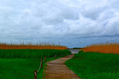 Boardwalk on field against sky