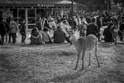 Crowd standing outdoors