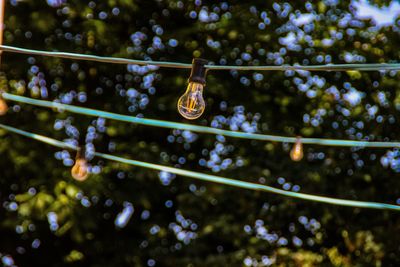 Low angle view of water drops on rope