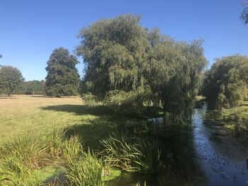 Scenic view of lake against clear sky